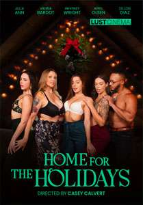 Home For The Holidays (Lust Cinema)