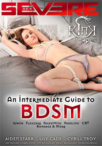 Kink School: An Intermediate Guide To BDSM (Severe Sex)